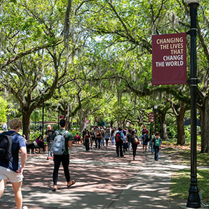 Summer Ask a Nole